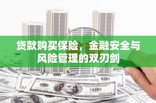 海原贷款购买保险，金融安全与风险管理的双刃剑