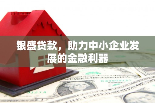 海原银盛贷款，助力中小企业发展的金融利器