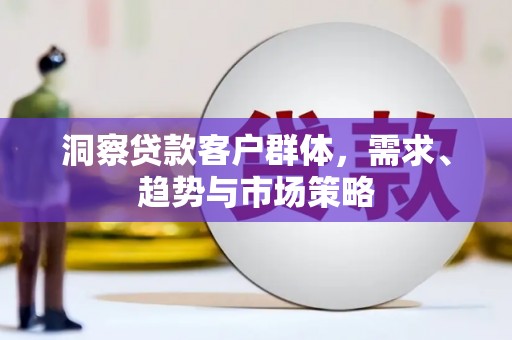 海原洞察贷款客户群体，需求、趋势与市场策略