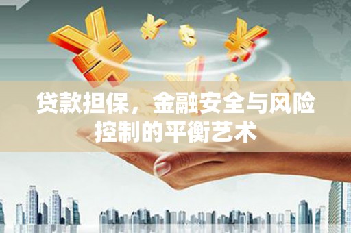 海原贷款担保，金融安全与风险控制的平衡艺术