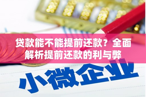 海原贷款能不能提前还款？全面解析提前还款的利与弊