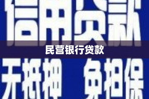 海原民营银行贷款