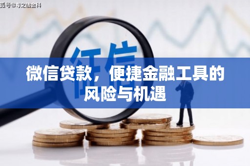 海原微信贷款，便捷金融工具的风险与机遇