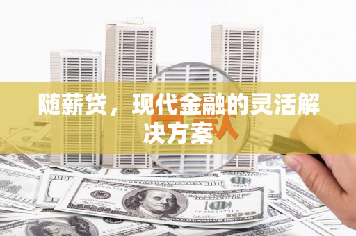 海原随薪贷，现代金融的灵活解决方案