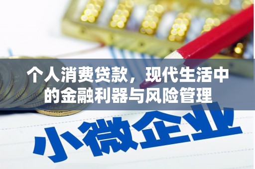 海原个人消费贷款，现代生活中的金融利器与风险管理