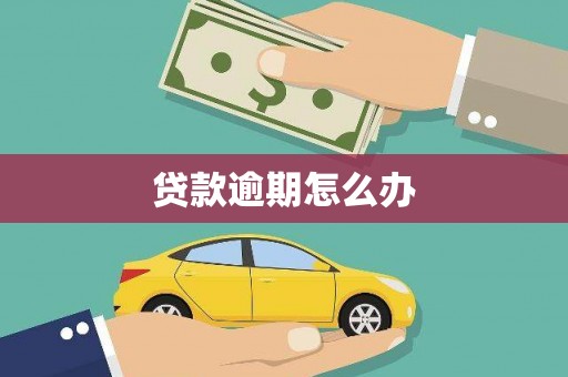 海原贷款逾期怎么办