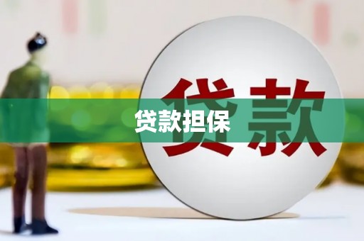 海原贷款担保