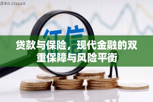 海原贷款与保险，现代金融的双重保障与风险平衡