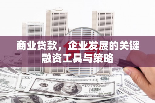 海原商业贷款，企业发展的关键融资工具与策略