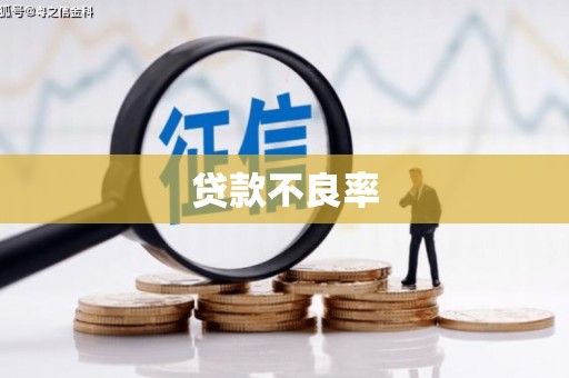海原贷款不良率