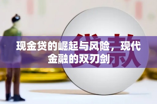 海原现金贷的崛起与风险，现代金融的双刃剑
