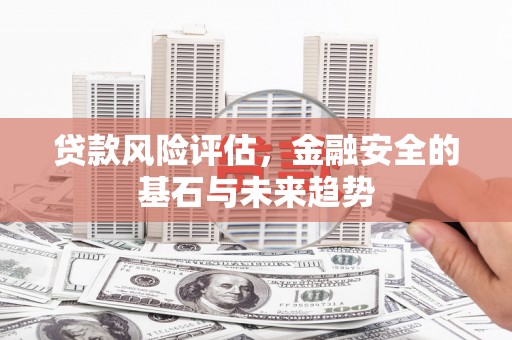 海原贷款风险评估，金融安全的基石与未来趋势