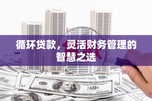 海原循环贷款，灵活财务管理的智慧之选