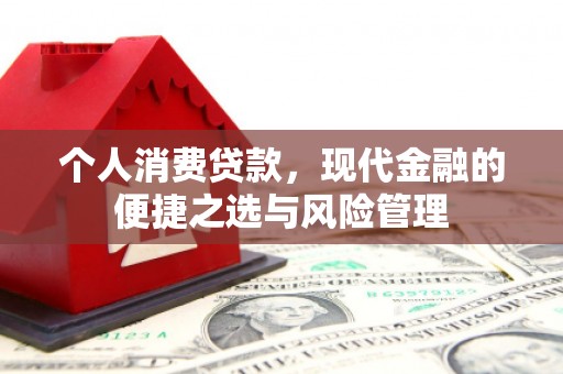 海原个人消费贷款，现代金融的便捷之选与风险管理