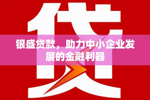 海原银盛贷款，助力中小企业发展的金融利器