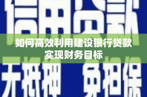 海原如何高效利用建设银行贷款实现财务目标