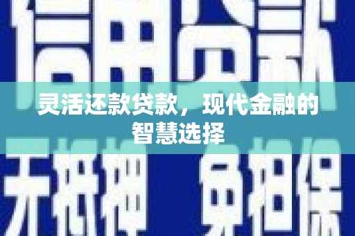 海原灵活还款贷款，现代金融的智慧选择