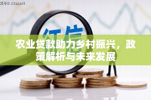 海原农业贷款助力乡村振兴，政策解析与未来发展