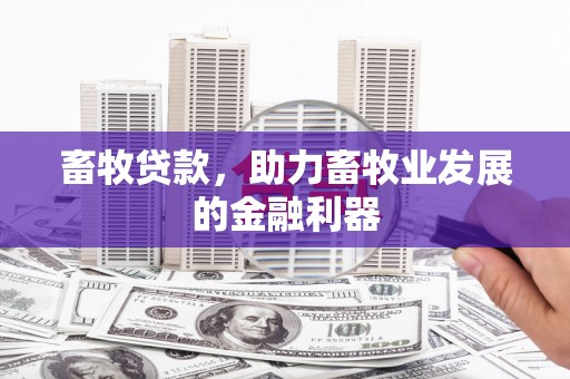 海原畜牧贷款，助力畜牧业发展的金融利器