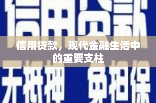 海原信用贷款，现代金融生活中的重要支柱