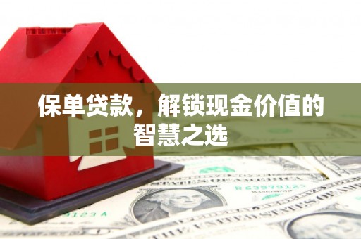海原保单贷款，解锁现金价值的智慧之选