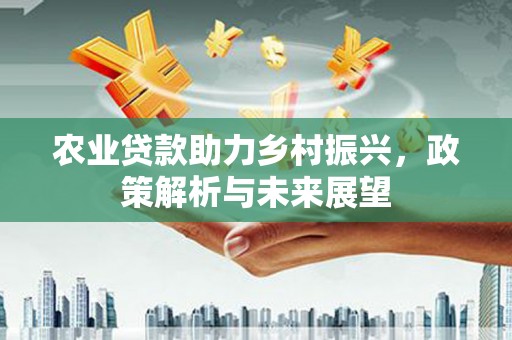 海原农业贷款助力乡村振兴，政策解析与未来展望