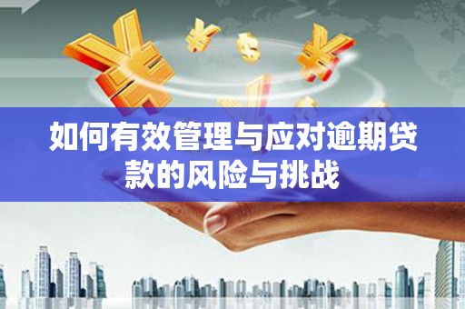海原如何有效管理与应对逾期贷款的风险与挑战