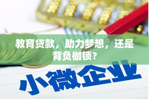 海原教育贷款，助力梦想，还是背负枷锁？