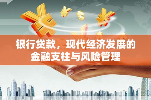 海原银行贷款，现代经济发展的金融支柱与风险管理