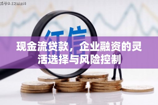 海原现金流贷款，企业融资的灵活选择与风险控制