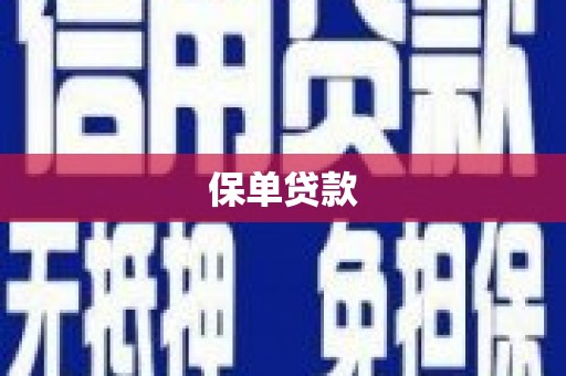 海原保单贷款