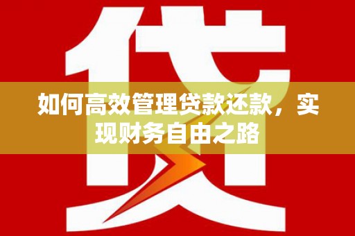 海原如何高效管理贷款还款，实现财务自由之路