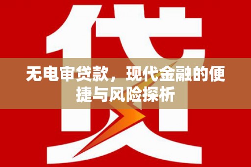 海原无电审贷款，现代金融的便捷与风险探析