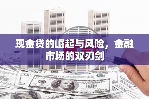 海原现金贷的崛起与风险，金融市场的双刃剑