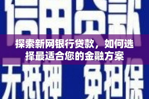 海原探索新网银行贷款，如何选择最适合您的金融方案