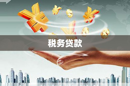 海原税务贷款