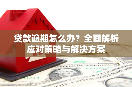 海原贷款逾期怎么办？全面解析应对策略与解决方案