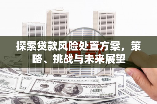 海原探索贷款风险处置方案，策略、挑战与未来展望