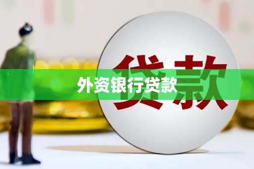 海原外资银行贷款