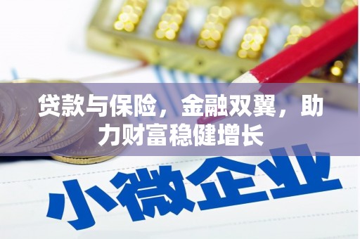 海原贷款与保险，金融双翼，助力财富稳健增长