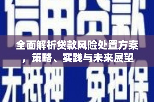 海原全面解析贷款风险处置方案，策略、实践与未来展望