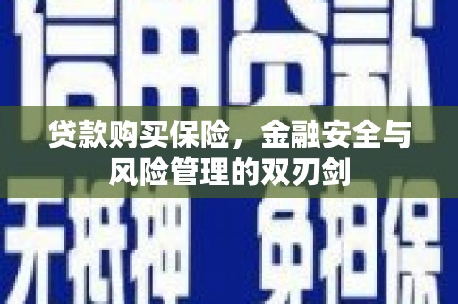 海原贷款购买保险，金融安全与风险管理的双刃剑