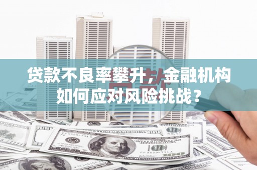 海原贷款不良率攀升，金融机构如何应对风险挑战？