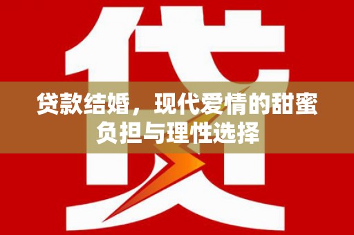 海原贷款结婚，现代爱情的甜蜜负担与理性选择