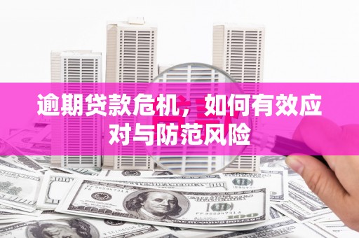 海原逾期贷款危机，如何有效应对与防范风险