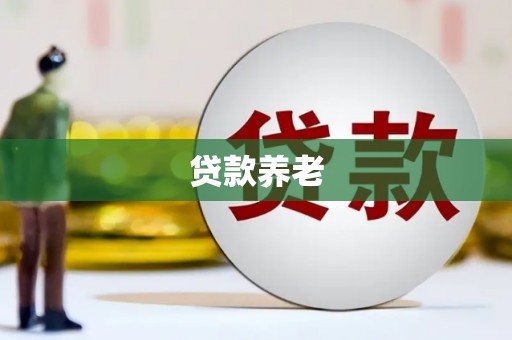 海原贷款养老
