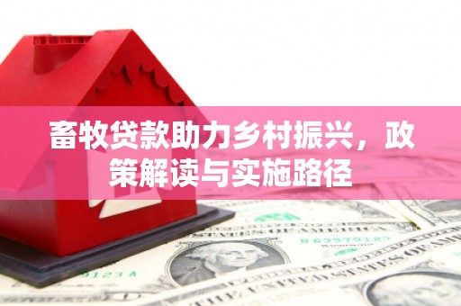 海原畜牧贷款助力乡村振兴，政策解读与实施路径