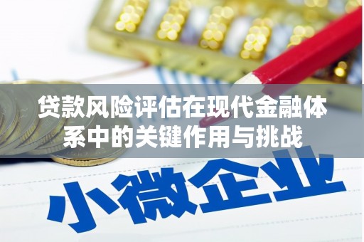 海原贷款风险评估在现代金融体系中的关键作用与挑战