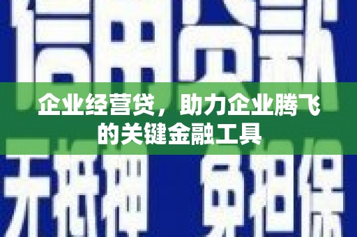 海原企业经营贷，助力企业腾飞的关键金融工具