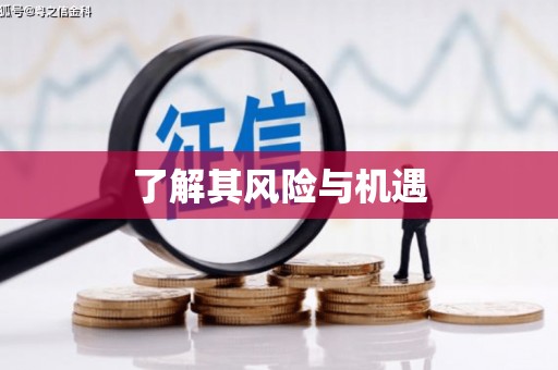 海原了解其风险与机遇
